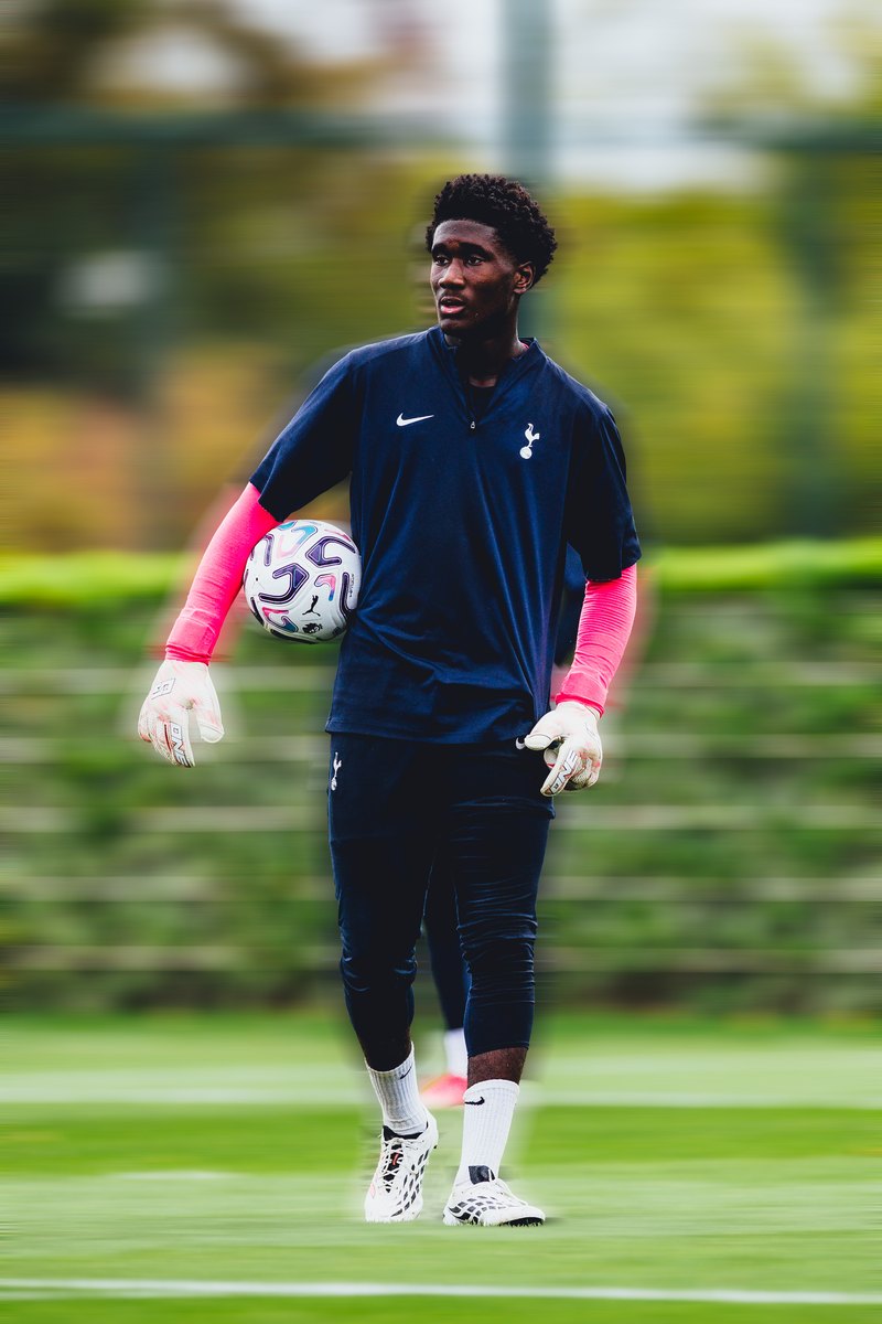 Tottenham goalkeeper holding the ball, motion blur edit